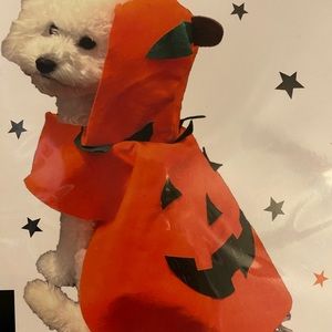Pumpkin 🎃 Halloween costume 🎃